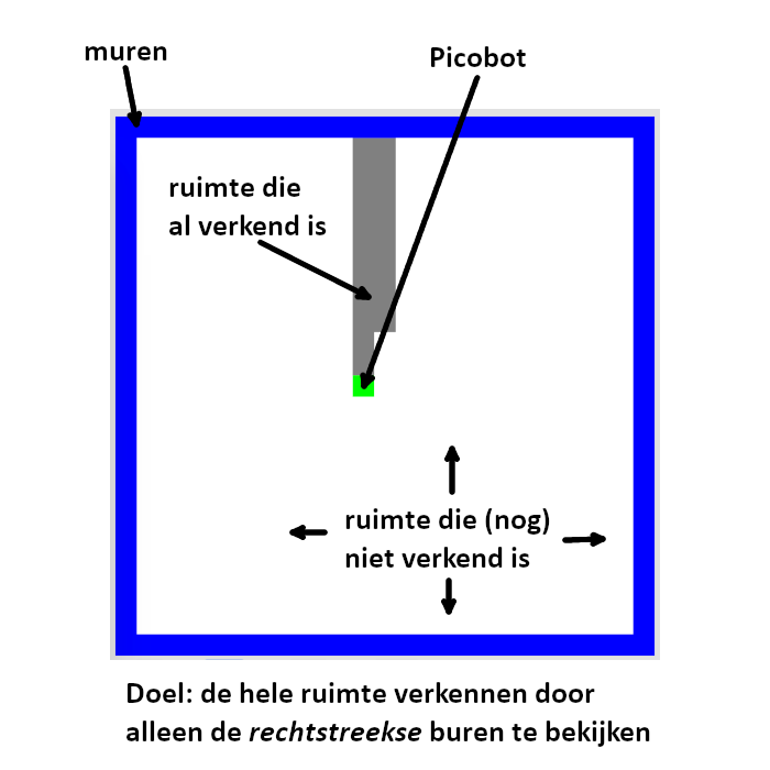 Overzicht van Picobot